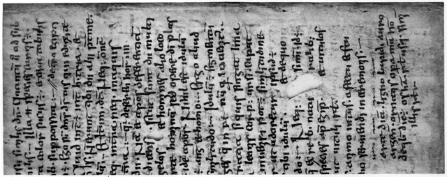 Volume / Number: 3 / 338