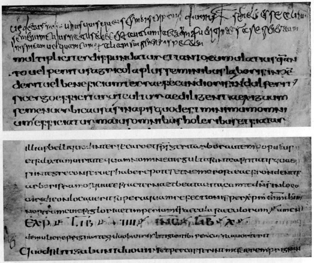 Volume / Number: 6 / 774a